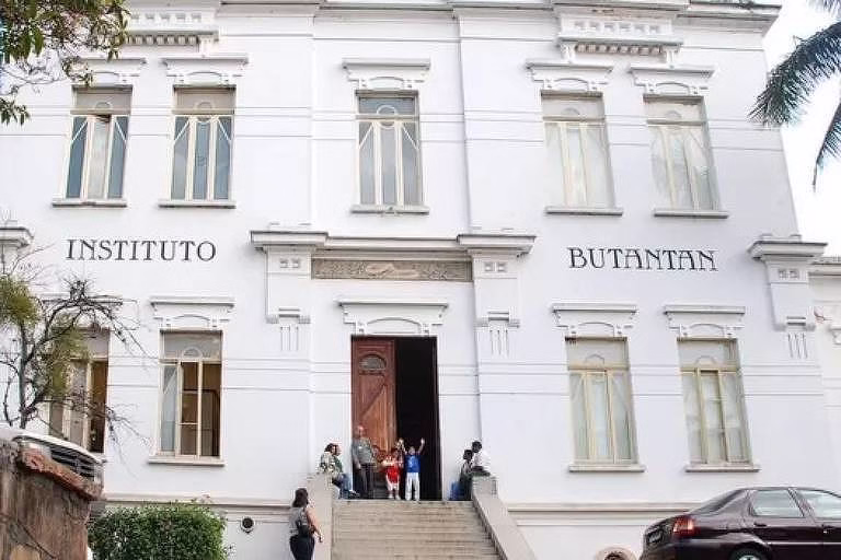 Anvisa Aprova Vacina Do Butantan Contra Chikungunya - 14/04/2025 - Mônica Bergamo