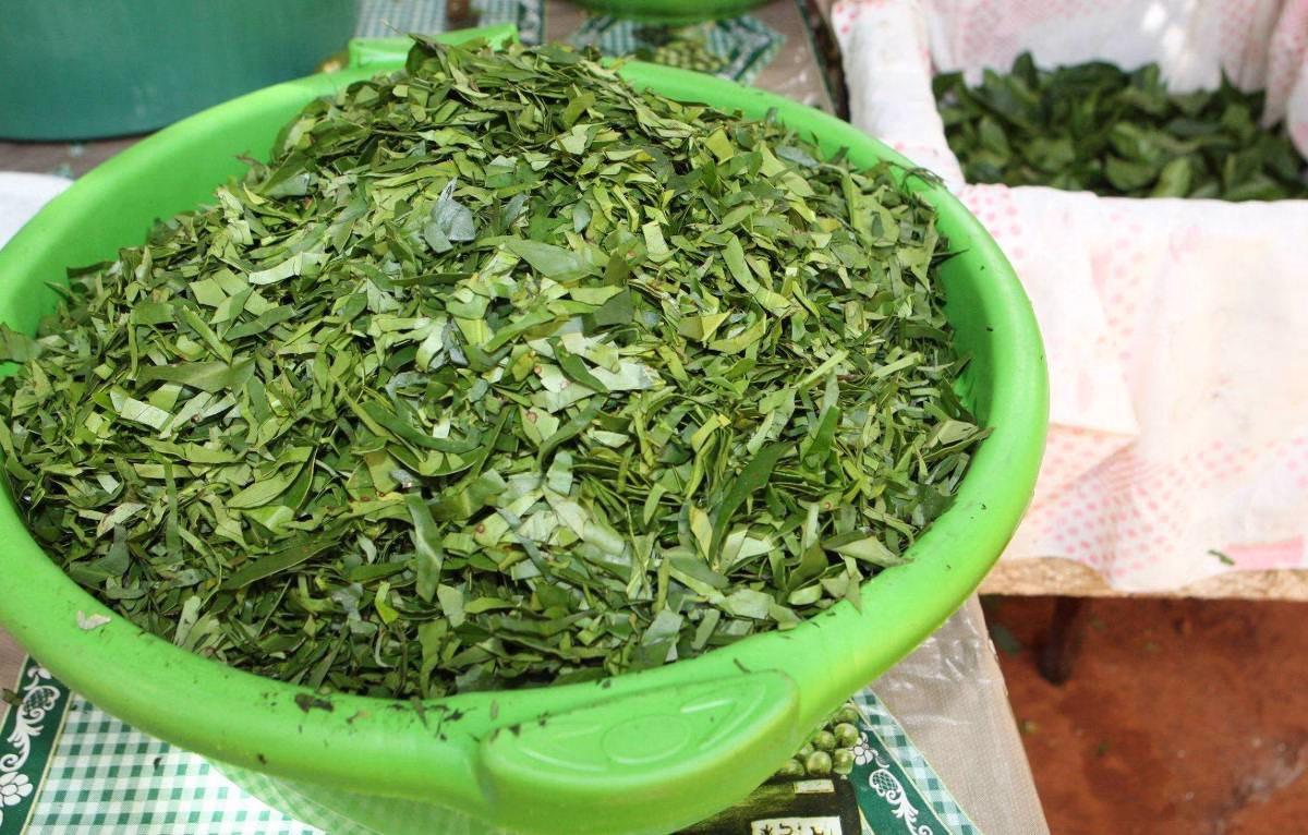 Anvisa Proíbe Suplementos Alimentares Com Ora-Pro-Nóbis - 03/04/2025 - Equilíbrio E Saúde