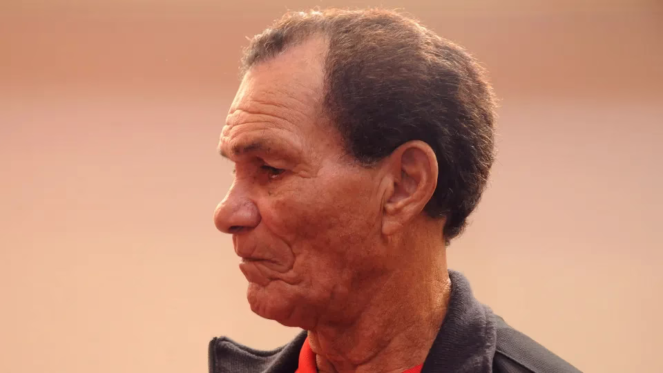 Botafogo Terá Homenagem A Manga Em Camisa De Jogo Da Libertadores