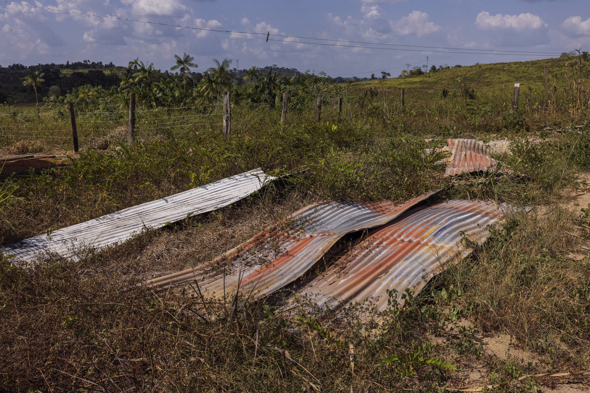Líder De Posseiros É Assassinado Em Região De Dorothy - 19/04/2025 - Poder