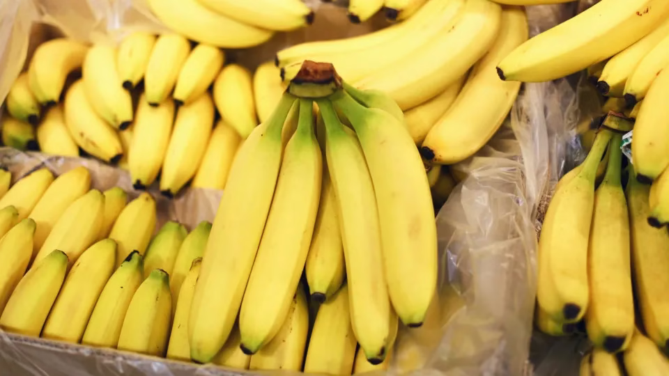 Os Objetos Mais Estranhos Deixados Em Túmulos De Famosos; Veja