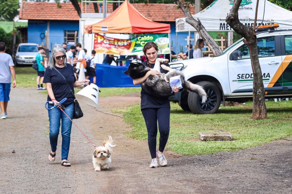 Prefeitura Promove Castração Gratuita E “Cãominhada” Em Prol Da Causa Animal – Jornal Aqui Paulínia