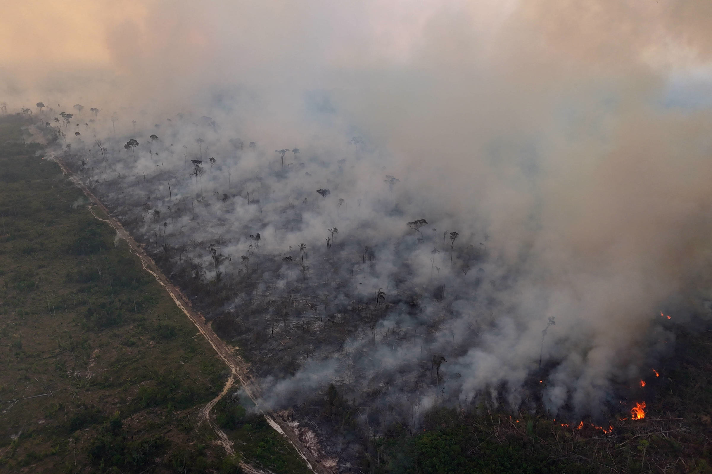 Primeiro Veio A Estrada, Depois A Destruição