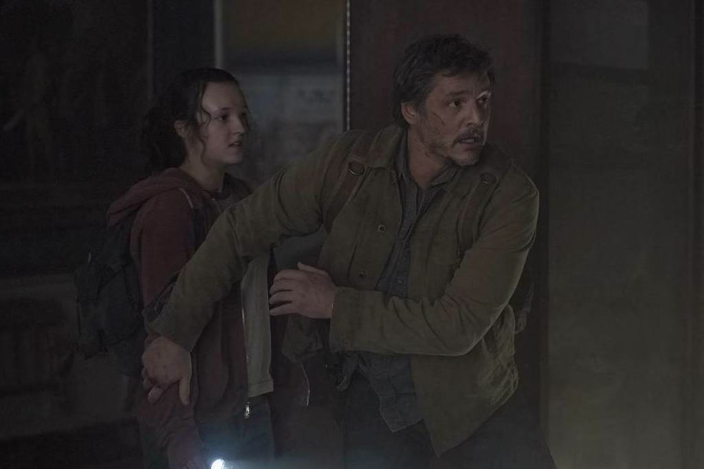 'The Last Of Us': Fungo Que Inspirou A Série Existe - 14/04/2025 - Equilíbrio E Saúde