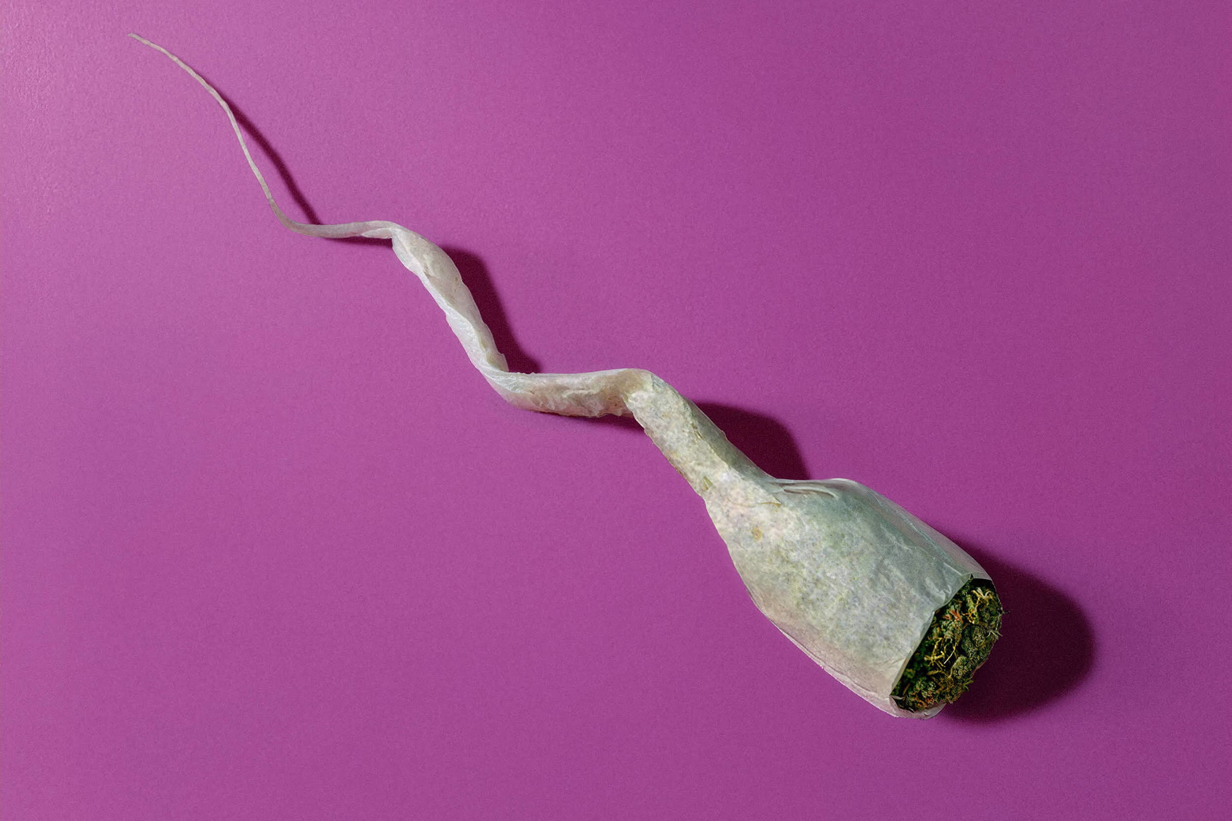 Uso Frequente De Maconha Pode Afetar Fertilidade Masculina - 11/04/2025 - Equilíbrio