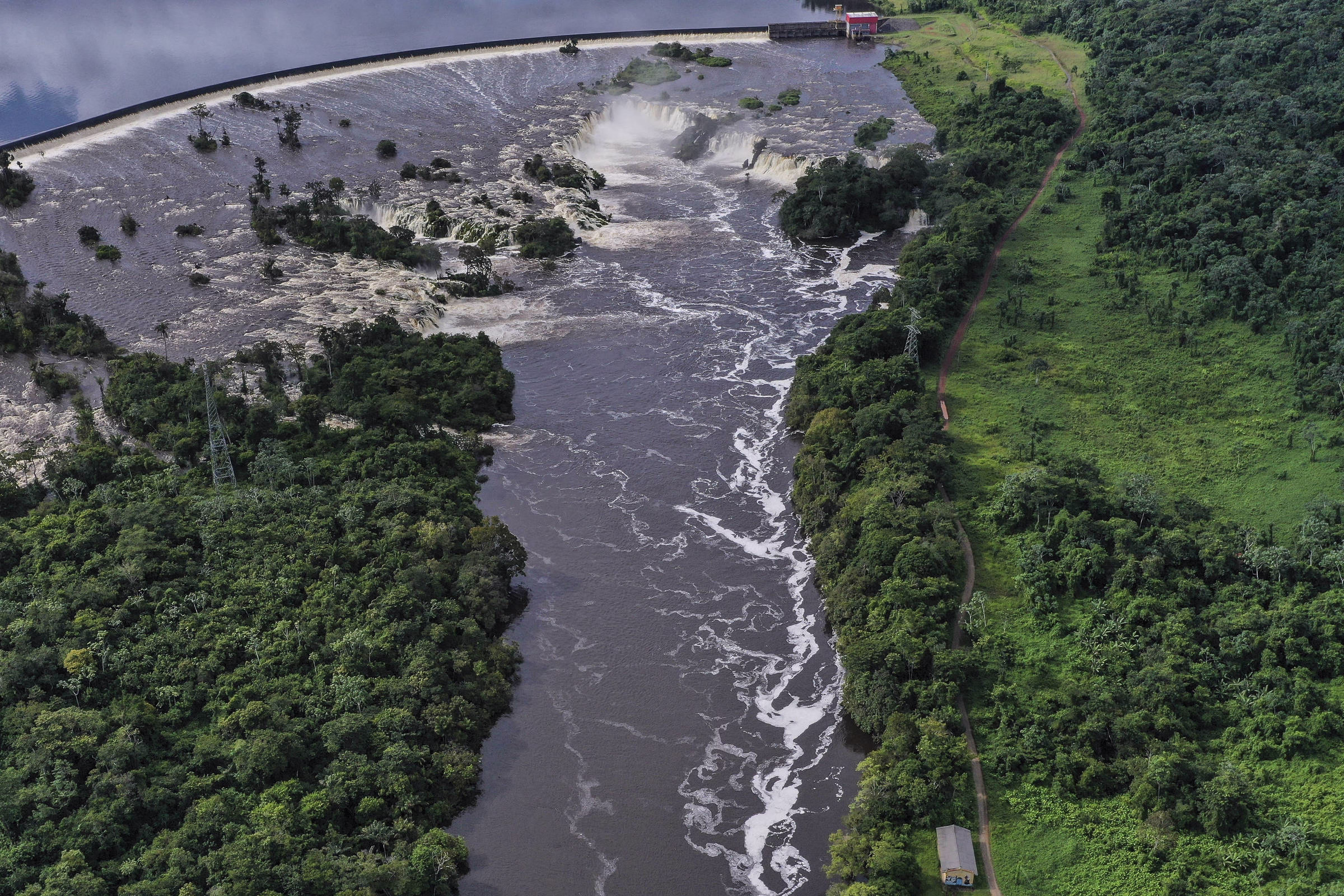Inscrições Abertas Para Mentoria De Jornalistas - 24/04/2025 - Novo Em Folha