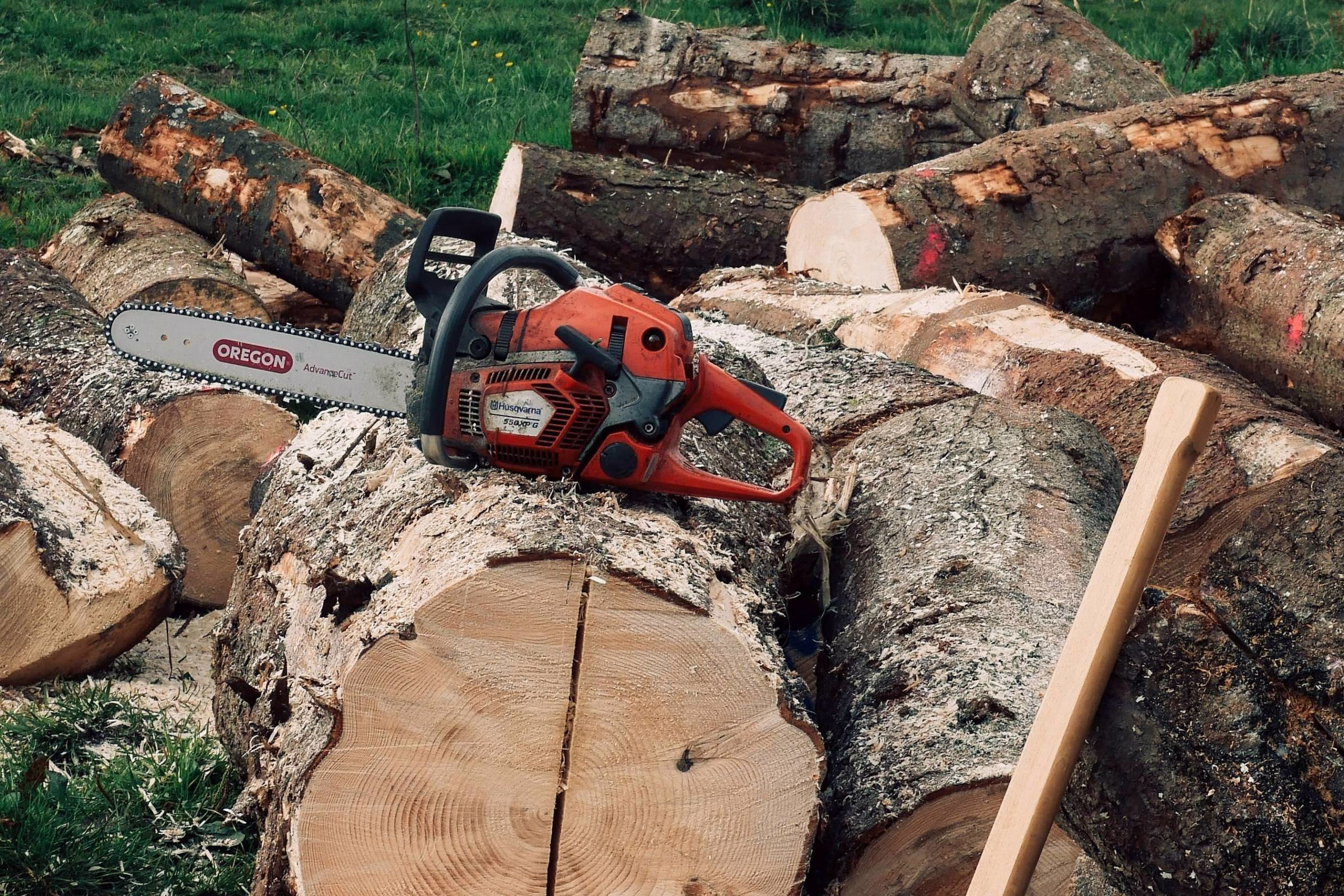 Ana Reber: Minha Mãe Tem Uma Motosserra - 10/05/2025 - Equilíbrio