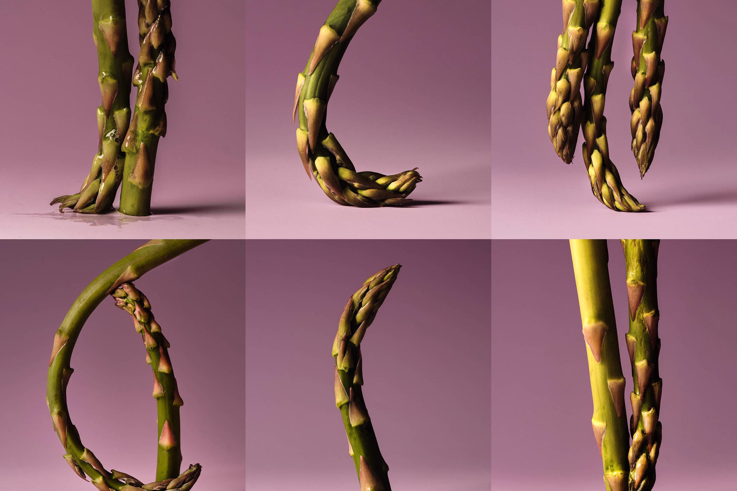 Aspargo Faz Bem Para O Intestino E Para A Visão - 02/05/2025 - Equilíbrio