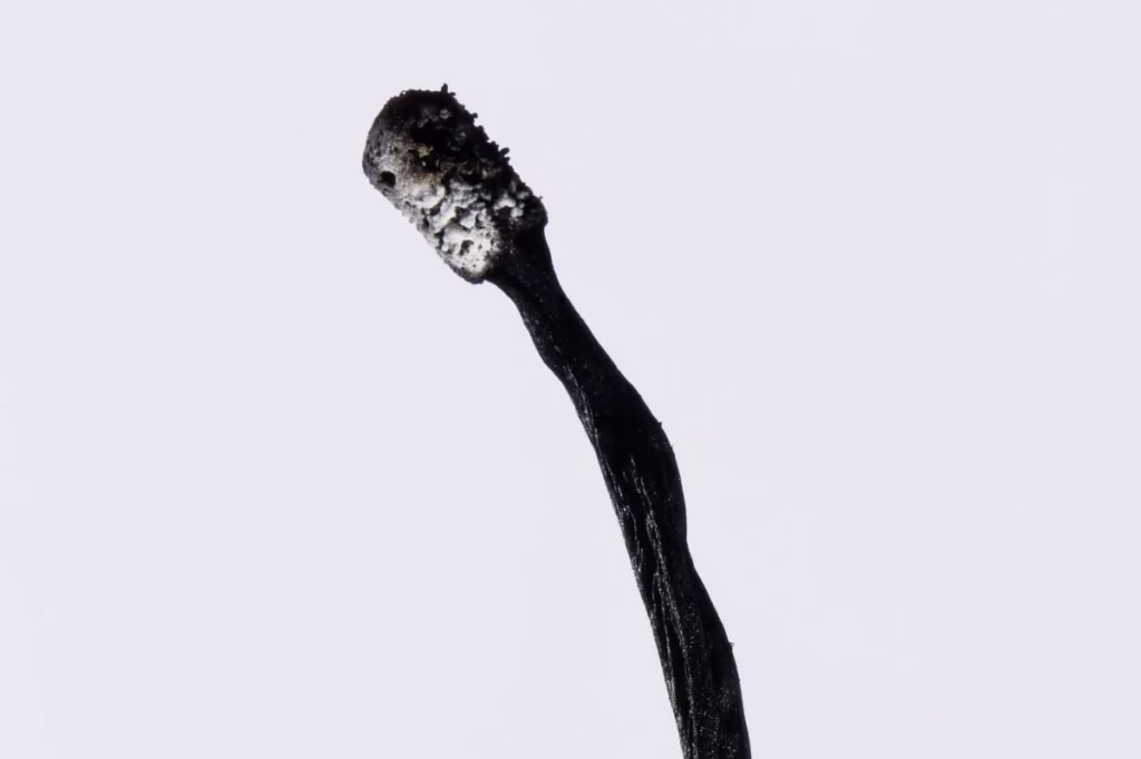 Como evitar burnout no trabalho - 12/05/2025 - Equilíbrio e Saúde