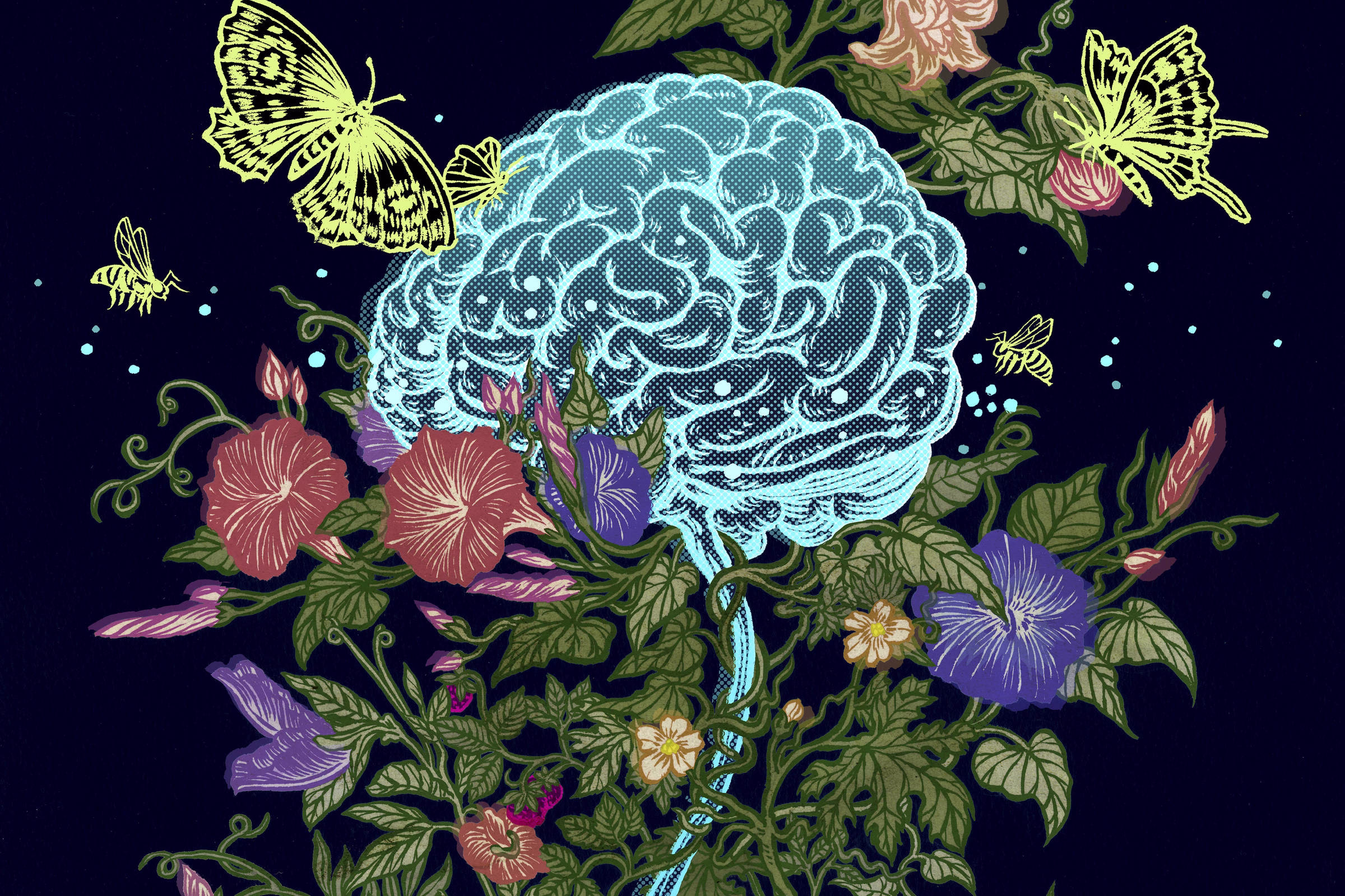 Estrogênio: Hormônio Sexual Tem Papel Na Saúde Do Cérebro - 03/05/2025 - Equilíbrio