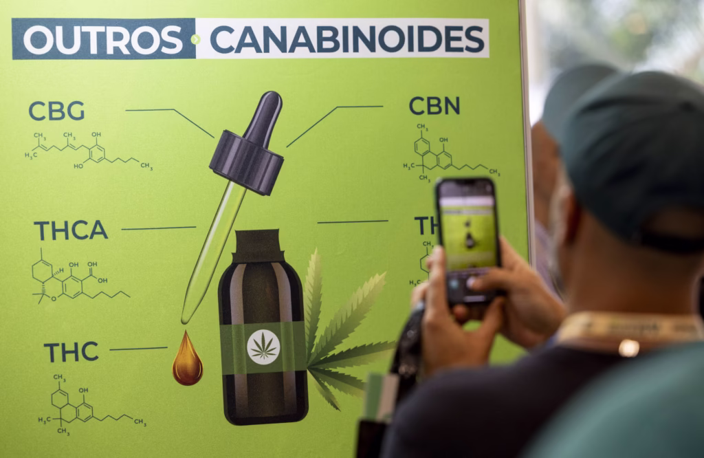 Governo quer regulamentar acesso a derivados de Cannabis - 20/05/2025 - Equilíbrio e Saúde
