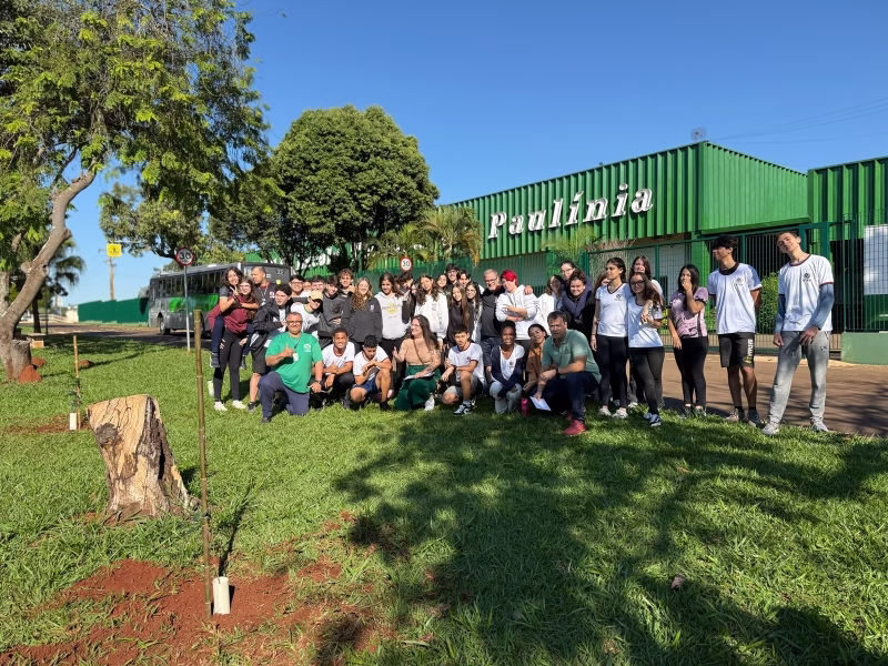 Meio Ambiente Realiza Plantio De Pau-Brasil – Jornal Aqui Paulínia
