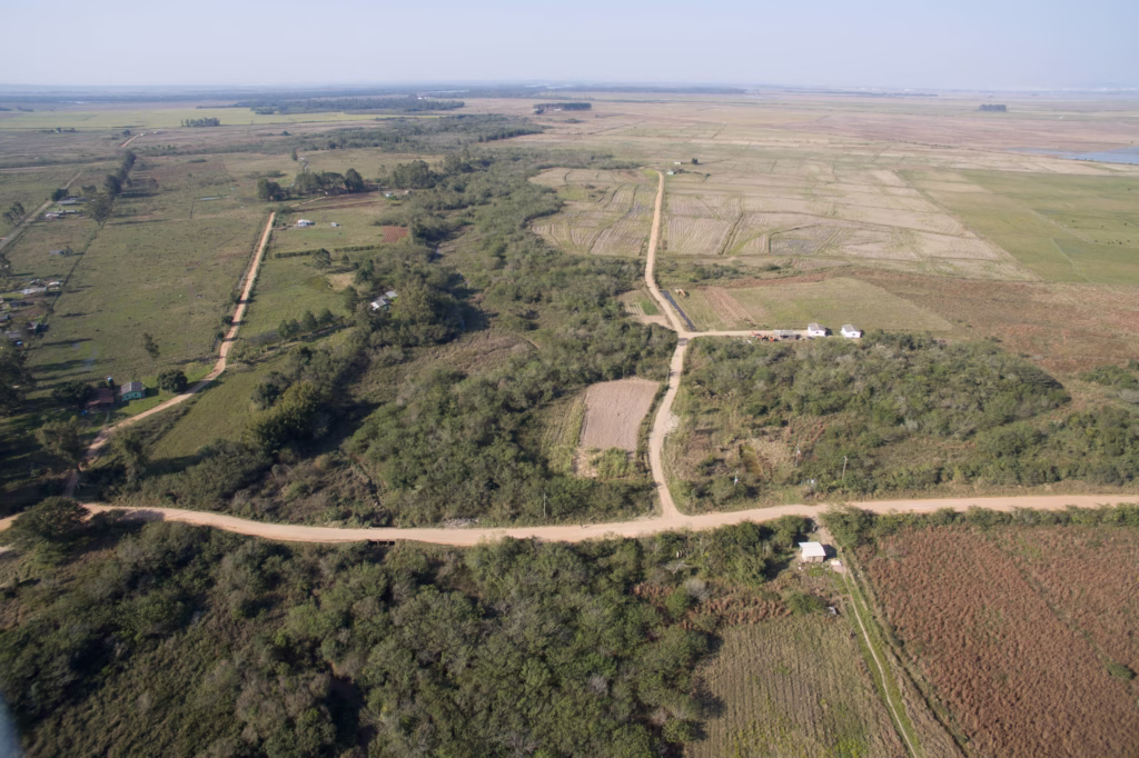 ONG pede a relatores da ONU pressão contra licenciamento - 21/05/2025 - Painel