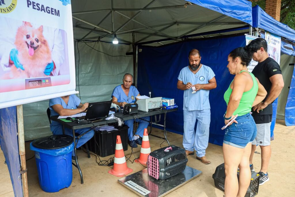 Programa Municipal de Castração abre novas vagas – Jornal Aqui Paulínia