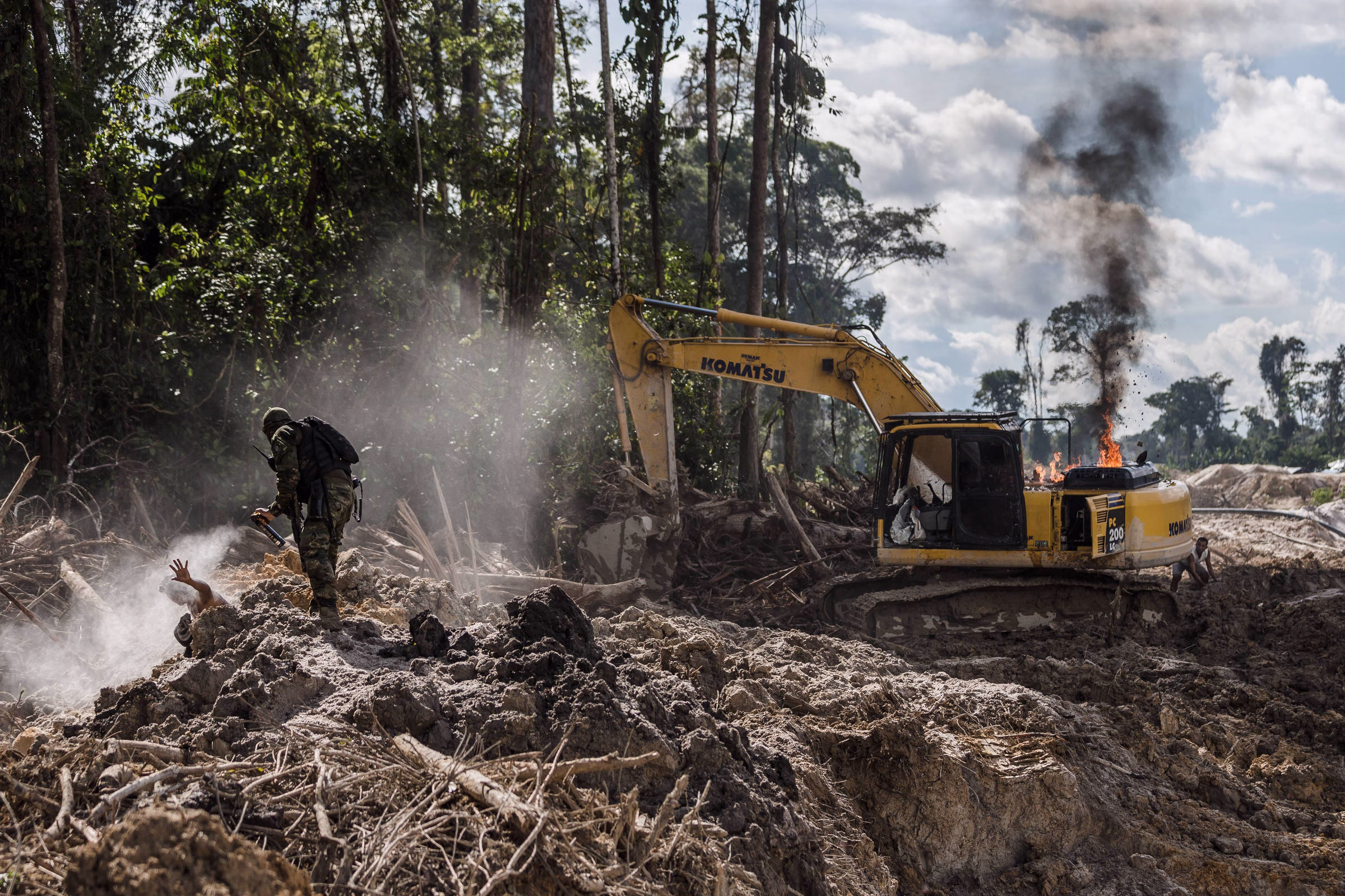 Projeto De Lei É Licença Para Devastar - 28/05/2025 - Maria Hermínia Tavares