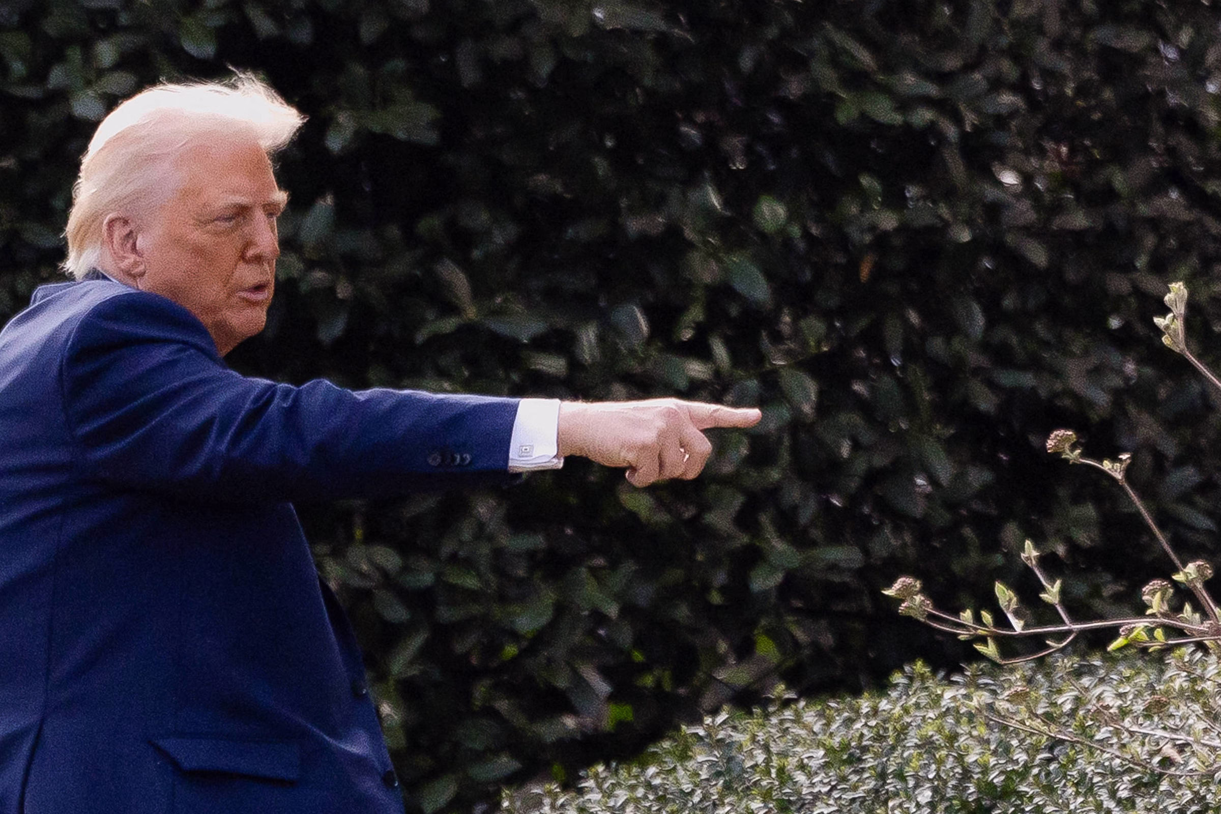 Trump Contra Harvard - 24/05/2025 - Celso Rocha De Barros