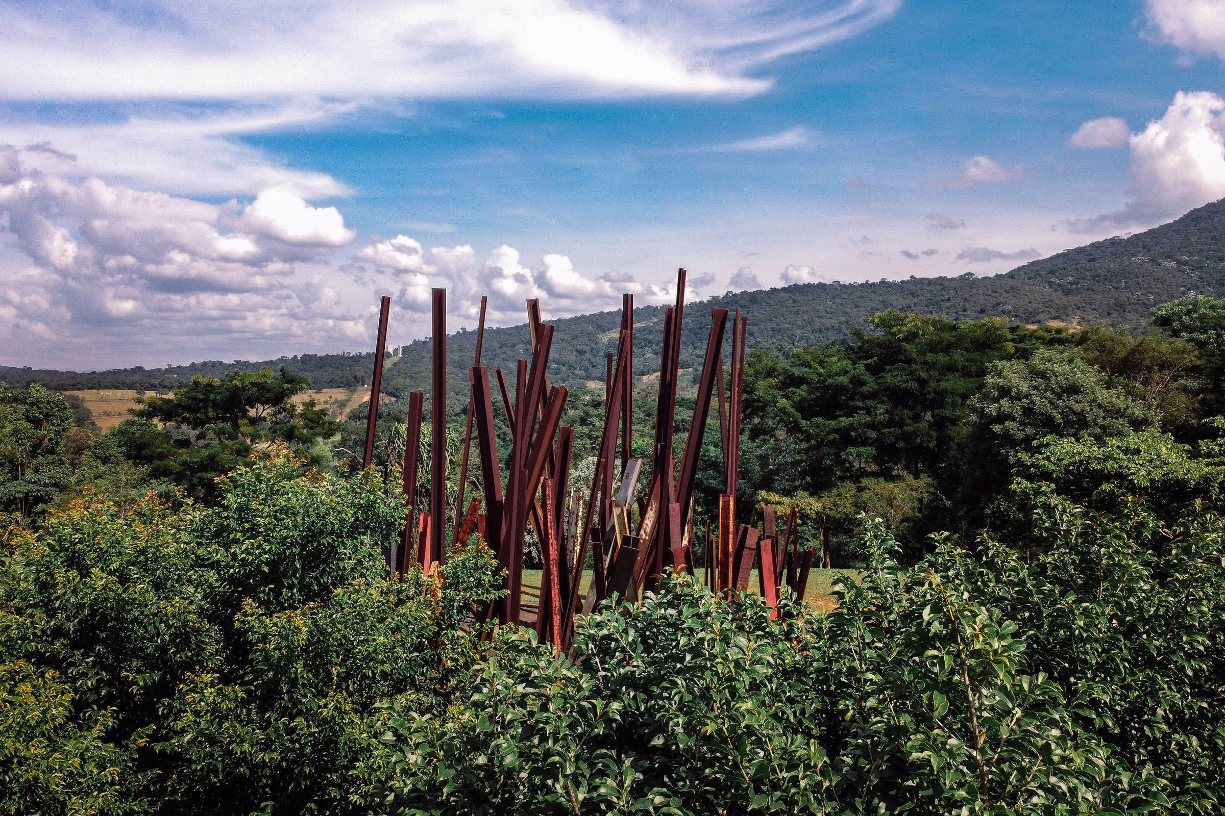 Ciência Imita Arte Exibida Em Inhotim - 01/06/2025 - Marcelo Leite
