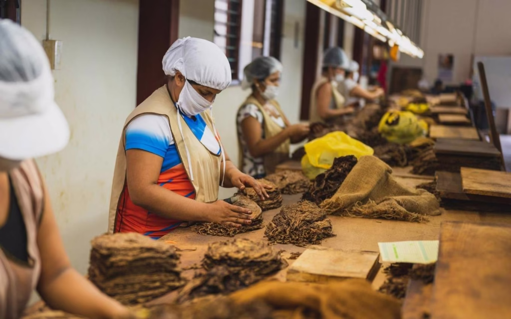 O agro puxou o PIB, mas não do jeito que você imagina · Economia Real