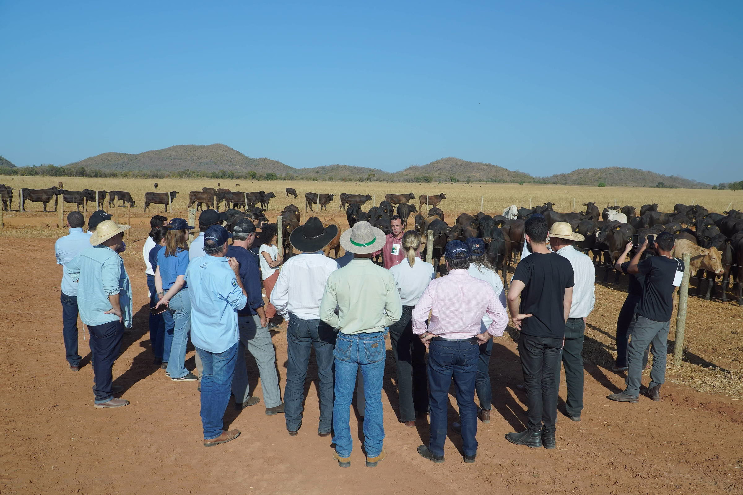 Ong Ambientalista Mira Direita E Diz Que Não Vai À Cop30 - 03/06/2025 - Painel