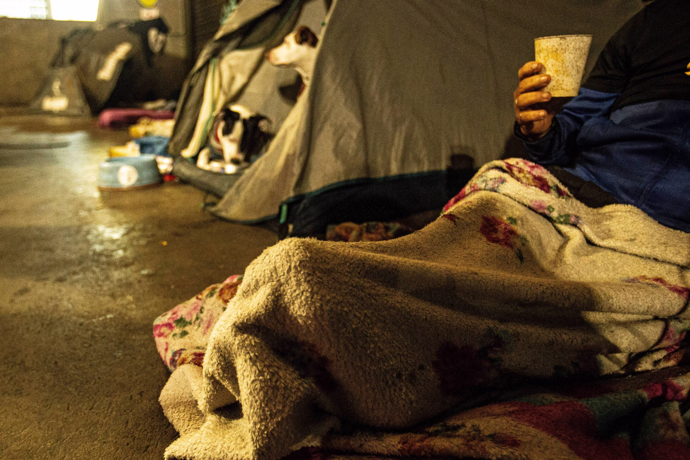 Projeto Do Chile Que Inspirou Tarcísio Teve Efeito Parcial - 10/06/2025 - Painel