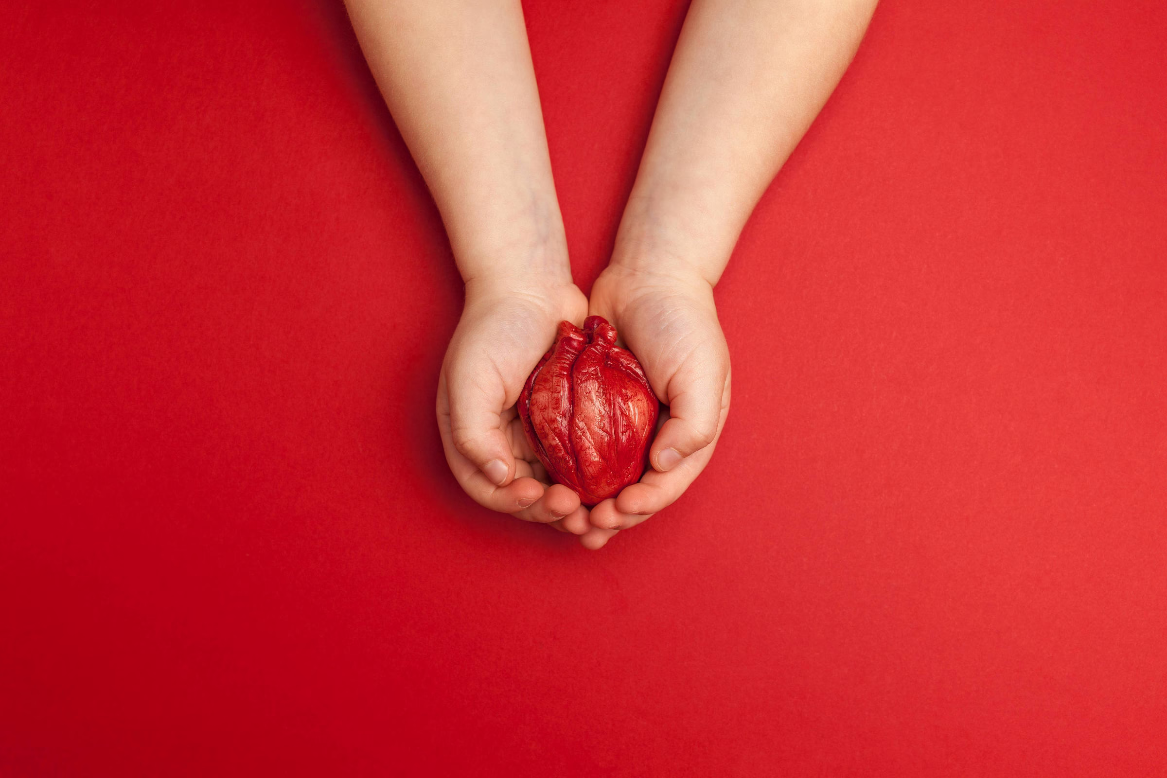 Cardiologista Dá Dicas Para Prevenir Doenças Cardíacas - 31/07/2025 - Equilíbrio E Saúde