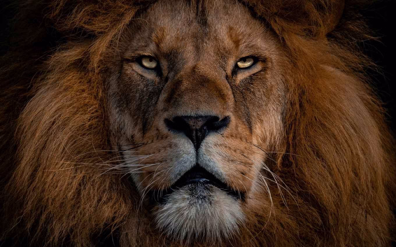 Como A Alta Do Iof Impacta As Empresas Do Mei E Do Simples Nacional · Economia Real