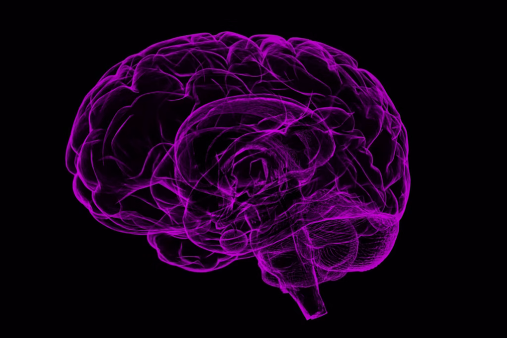 Dor crônica: pesquisa revela novo alvo para tratamentos - 03/07/2025 - Equilíbrio e Saúde