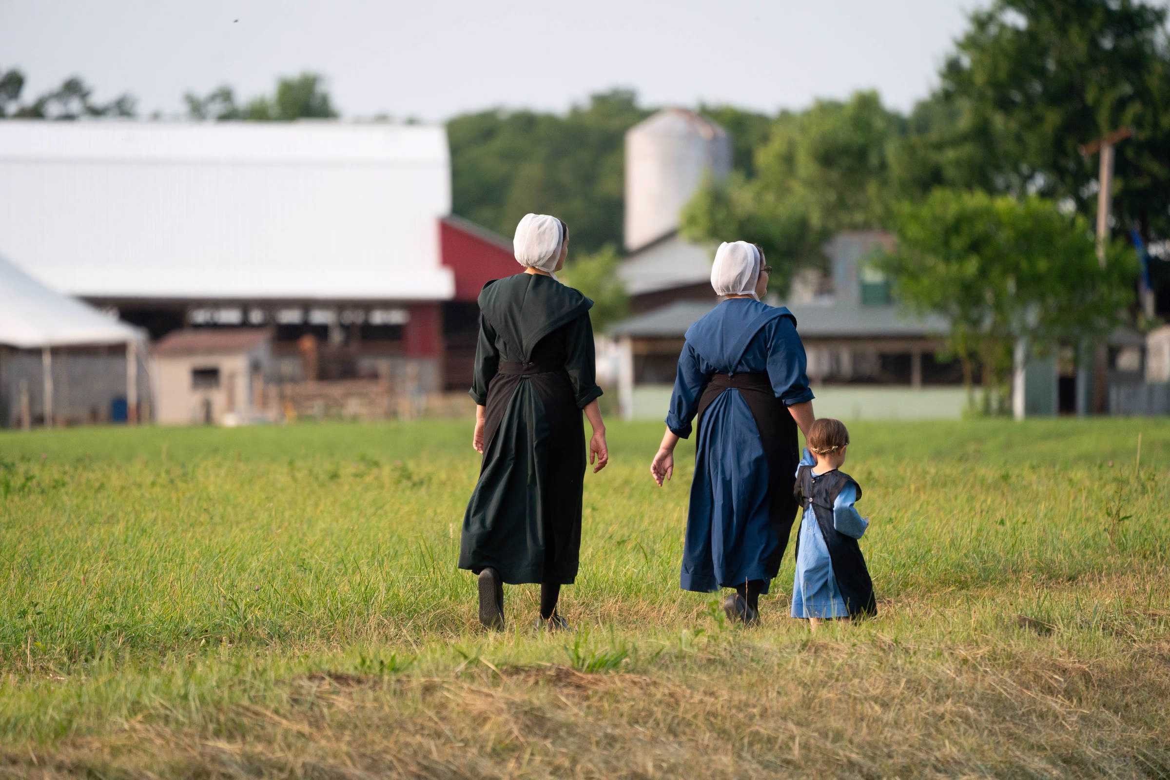 Poeira De Fazenda Amish Pode Prevenir Asma E Alergias - 22/07/2025 - Equilíbrio E Saúde
