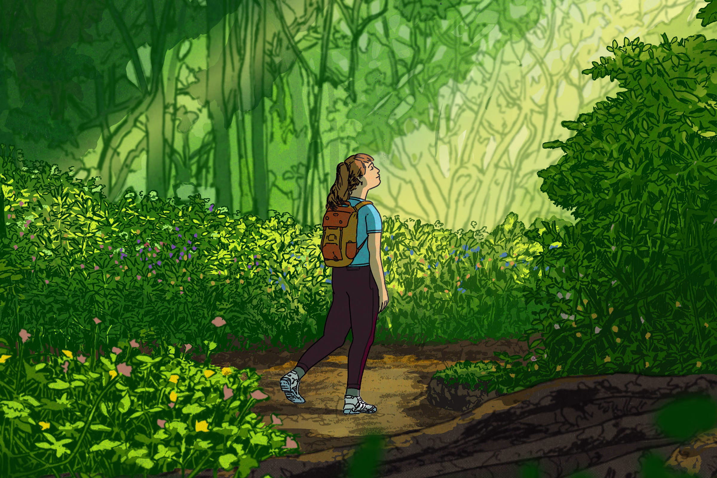 Caminhar Em Áreas Verdes Melhora A Memória E A Atenção - 18/08/2025 - Equilíbrio