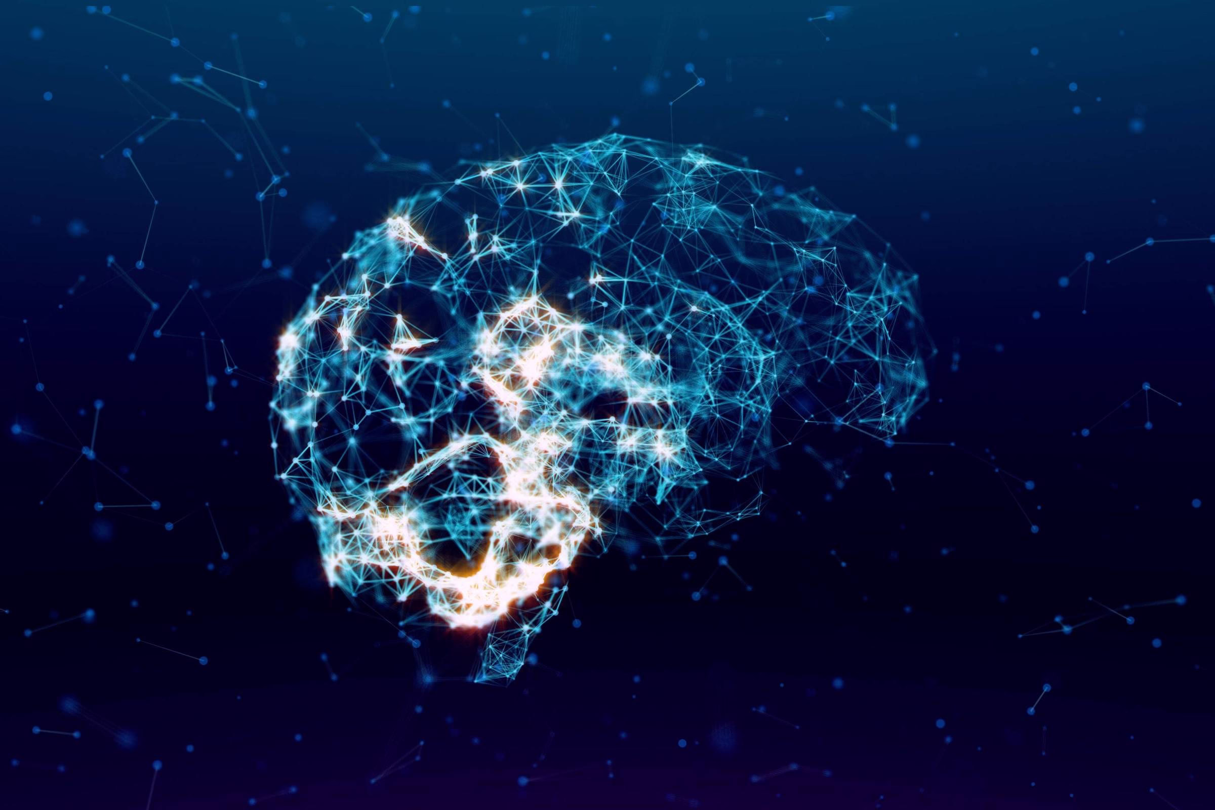 Dopamina Não Basta - 28/08/2025 - Suzana Herculano-Houzel