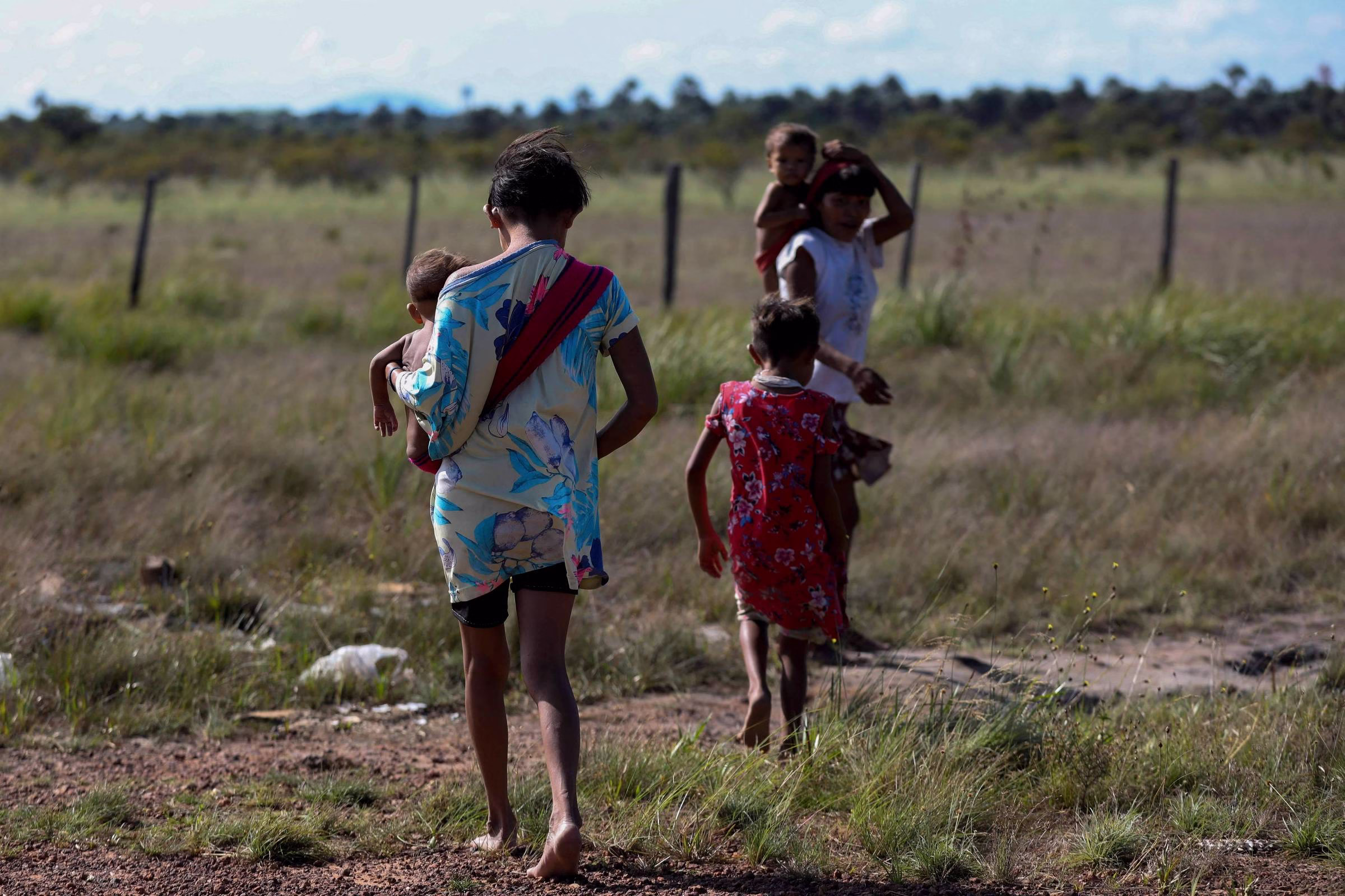 Risco De Malária Na Amazônia É Maior Com Degradação - 26/08/2025 - Ambiente
