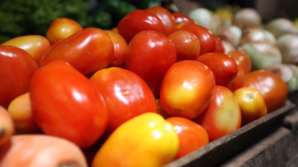 Brasil Abre Mercado Para Produto Agropecuário Na Argentina E No Paraguai