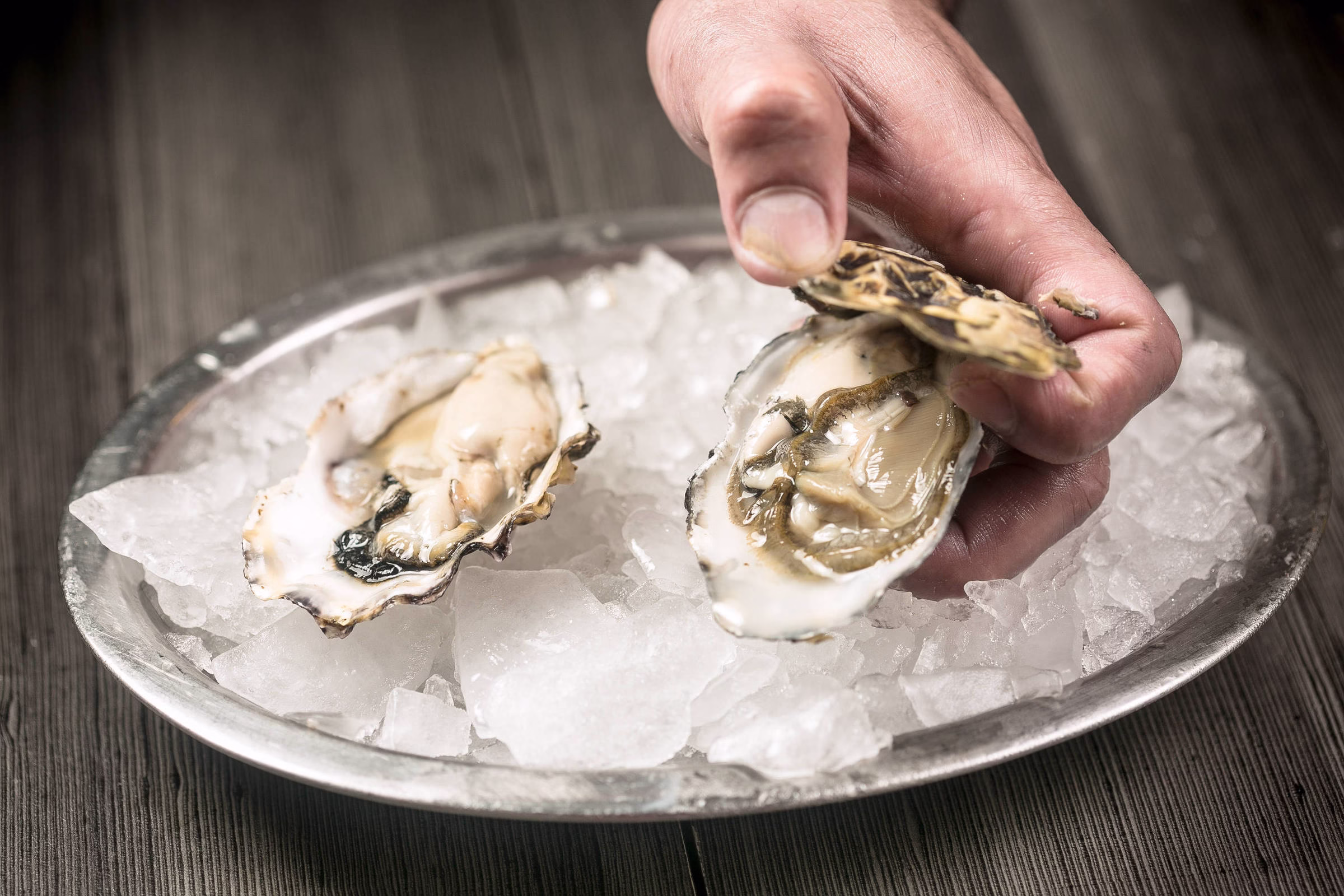 Comer Ostra Crua Pode Causar Infecção Por Bactéria Letal - 15/09/2025 - Equilíbrio