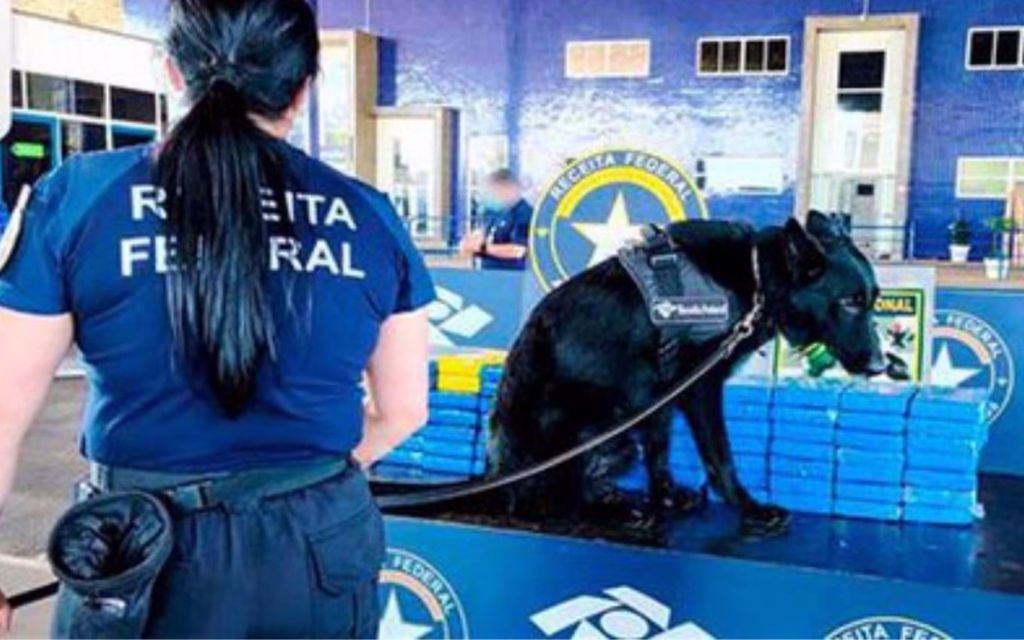 Paraguaio entra em pânico e é pego com 85kg de cocaína escondida no carro · Economia Real