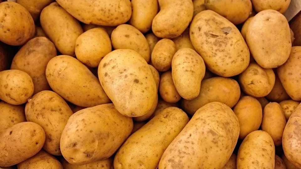 Batata E Cebola Estão Mais Baratas, Diz Conab