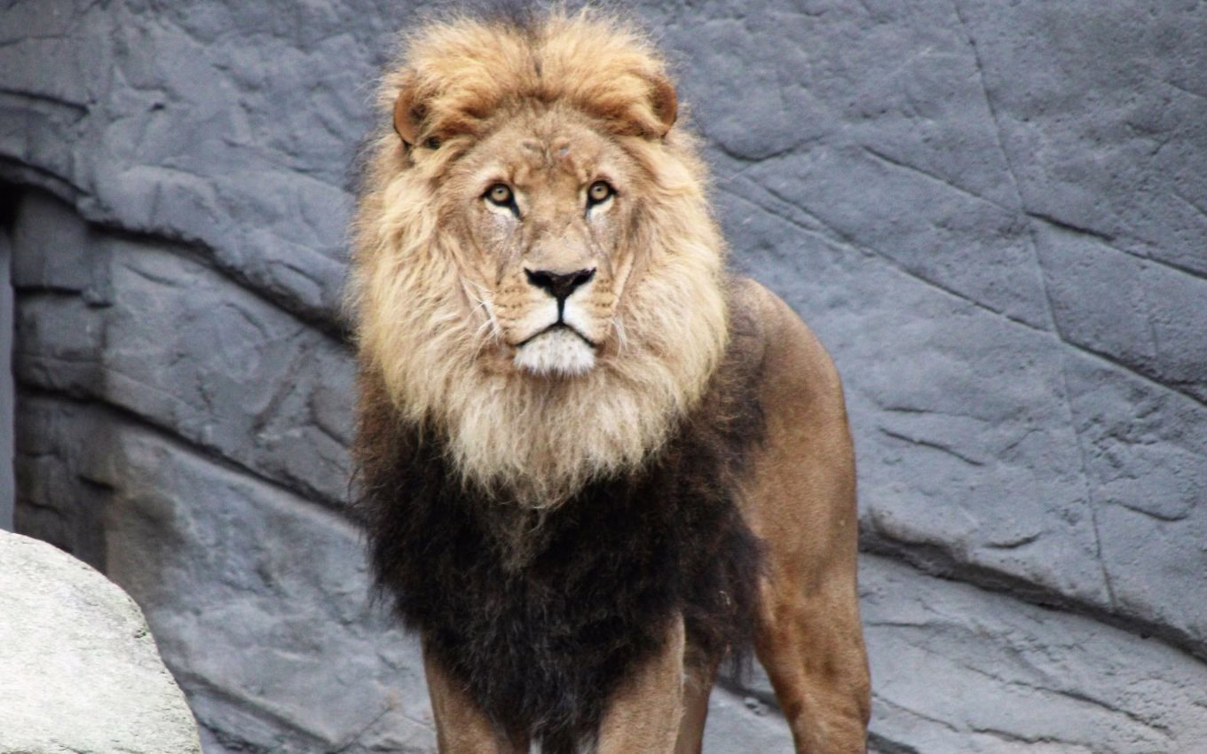 Irpf Começa Segunda E Receita Pede Que Brasileiros Se Preparem · Economia Real