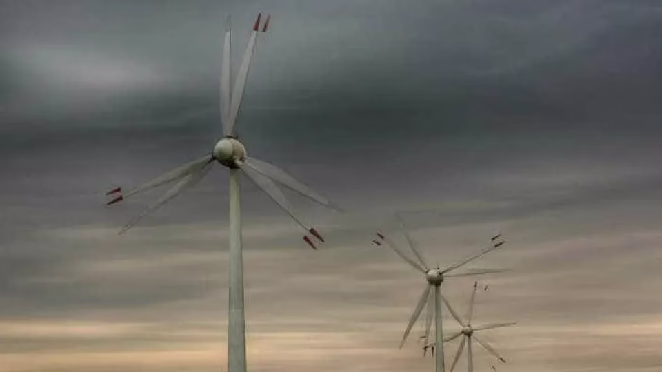 Empresas De Energia Renováveis Suspendem Quase R$ 40 Bi Em Investimentos E Avaliam Deixar Nordeste