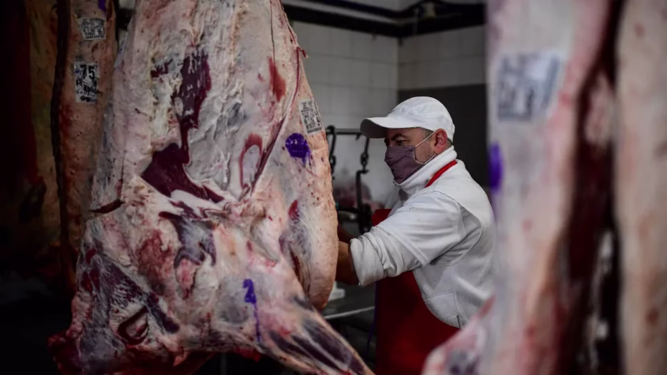 O governo brasileiro afirmou nesta terça-feira, 12, ter recebido com “surpresa” a decisão da união europeia de retirar o brasil da lista de países autorizados a exportar produtos de origem animal destinados ao consumo humano no bloco europeu. Governo É Surpreendido Com Veto Da Ue Sobre Importação De Carnes Do Br